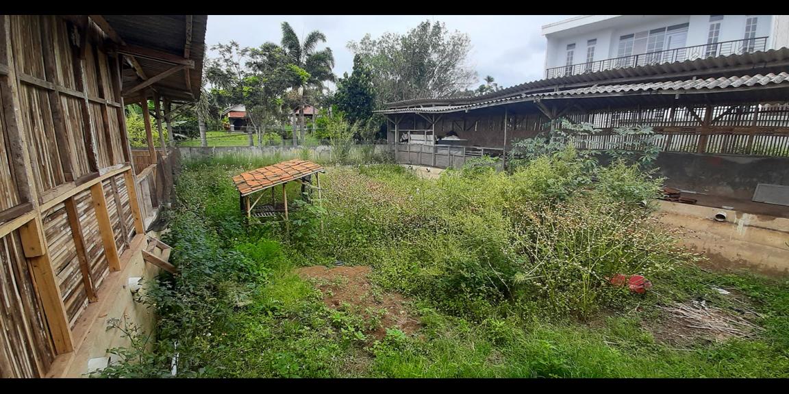 TANAH MATANG KAWASAN CIUMBULEUIT BANDUNG TANAH MATANG KAWASAN CIUMBULEUIT BANDUNG