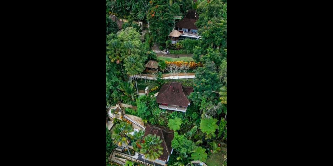 Dijual MURAH Hotel Bintang 4 di Ubud, Bali Dijual MURAH Hotel Bintang 4 di Ubud, Bali