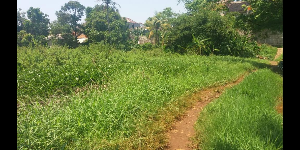 Tanah 250 meter ke Gerbang Tol Desari Sawangan Raya Harga NJOP 6700 m2 Tanah 250 meter ke Gerbang Tol Desari Sawangan Raya Harga NJOP 6700 m2