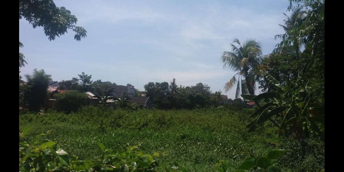 Tanah 250 meter ke Gerbang Tol Desari Sawangan Raya Harga NJOP 6700 m2 Tanah 250 meter ke Gerbang Tol Desari Sawangan Raya Harga NJOP 6700 m2