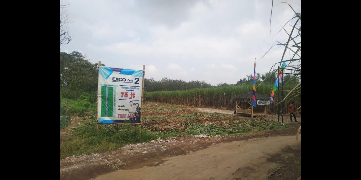 Tanah Kavling Singosari Tanah Kavling Singosari