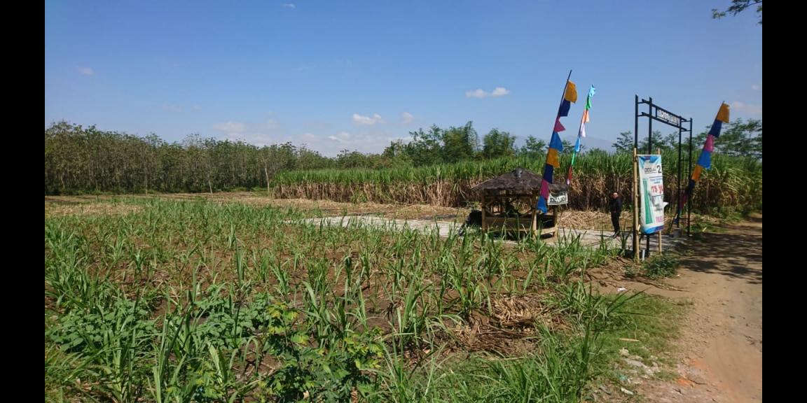 Tanah Kavling Singosari Tanah Kavling Singosari