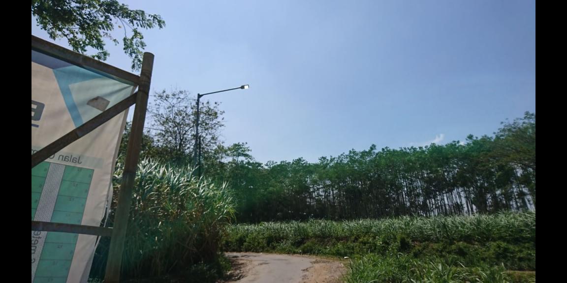 Tanah Kavling Singosari Tanah Kavling Singosari