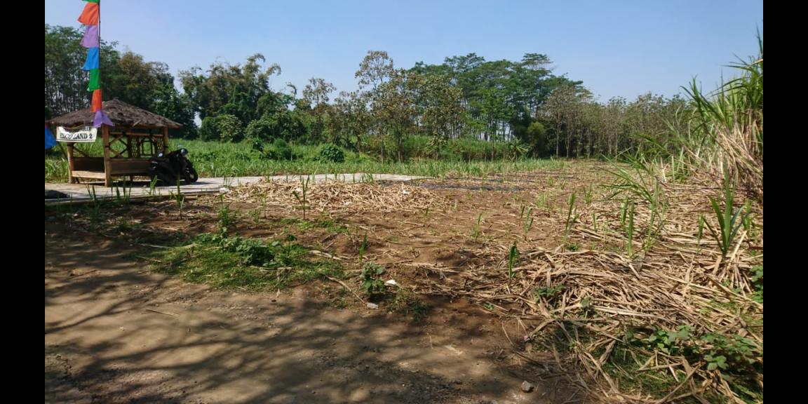 Tanah Kavling Singosari Tanah Kavling Singosari