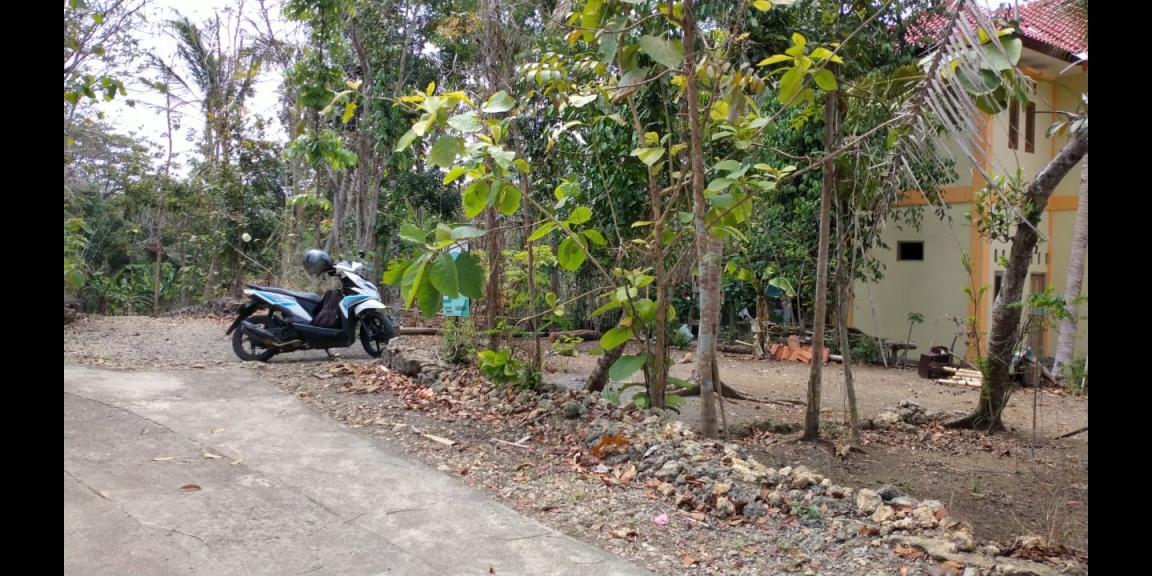 Tanah di lendah kulon progo yogyakarta Tanah di lendah kulon progo yogyakarta