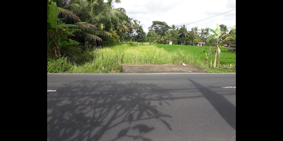 Dijual tanah di jalan utama Kedewatan ubud Dijual tanah di jalan utama Kedewatan ubud