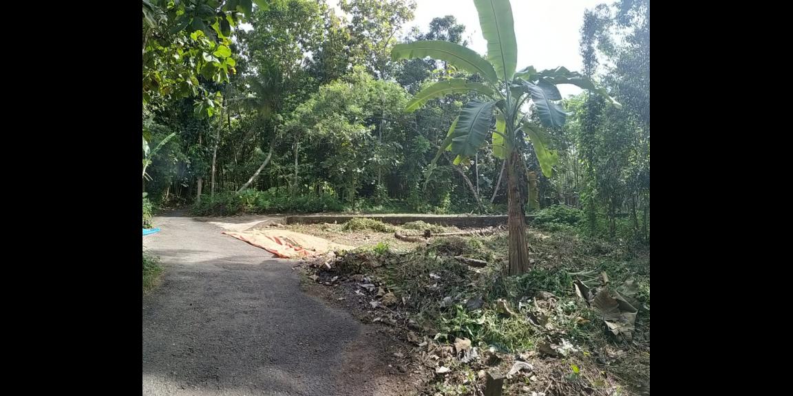 TANAH KAVLING SIAP BANGUN STRATEGIS DEKAT BANDARA NYIA TANAH KAVLING SIAP BANGUN STRATEGIS DEKAT BANDARA NYIA