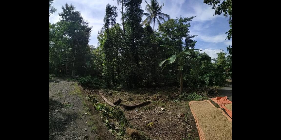 TANAH KAVLING SIAP BANGUN STRATEGIS DEKAT BANDARA NYIA TANAH KAVLING SIAP BANGUN STRATEGIS DEKAT BANDARA NYIA