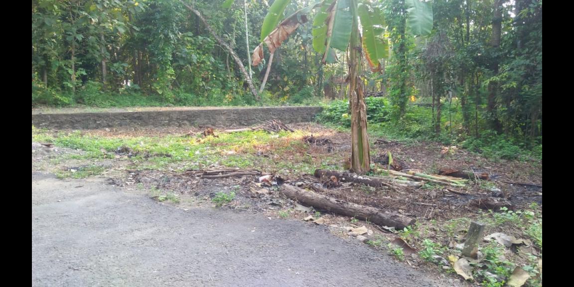 TANAH KAVLING SIAP BANGUN STRATEGIS DEKAT BANDARA NYIA TANAH KAVLING SIAP BANGUN STRATEGIS DEKAT BANDARA NYIA