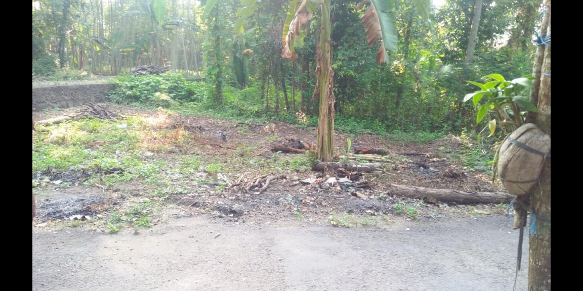 TANAH KAVLING SIAP BANGUN STRATEGIS DEKAT BANDARA NYIA TANAH KAVLING SIAP BANGUN STRATEGIS DEKAT BANDARA NYIA