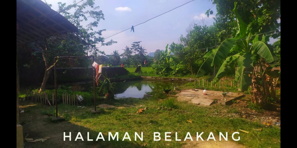 RUMAH, KIOS DAGANG DAN TANAH KOSONG AREA RAJAGALUH MAJALENGKA RUMAH, KIOS DAGANG DAN TANAH KOSONG AREA RAJAGALUH MAJALENGKA