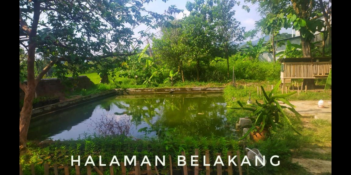 RUMAH, KIOS DAGANG DAN TANAH KOSONG AREA RAJAGALUH MAJALENGKA RUMAH, KIOS DAGANG DAN TANAH KOSONG AREA RAJAGALUH MAJALENGKA