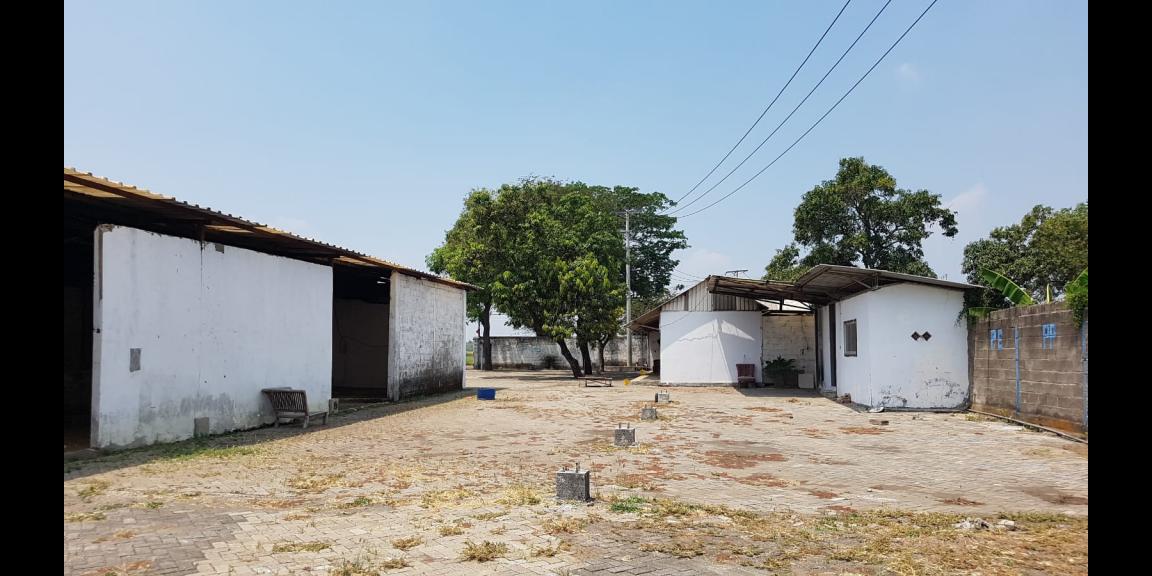 Dijual gudang industri pasuruan harga dijamin paling murah Dijual gudang industri pasuruan harga dijamin paling murah