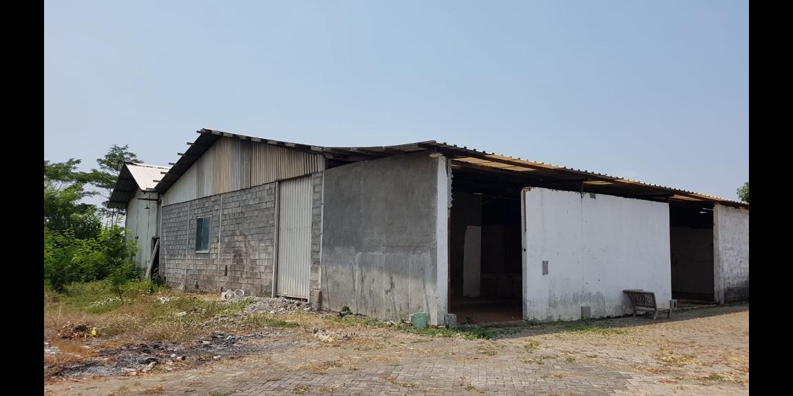 Dijual gudang industri pasuruan harga dijamin paling murah Dijual gudang industri pasuruan harga dijamin paling murah