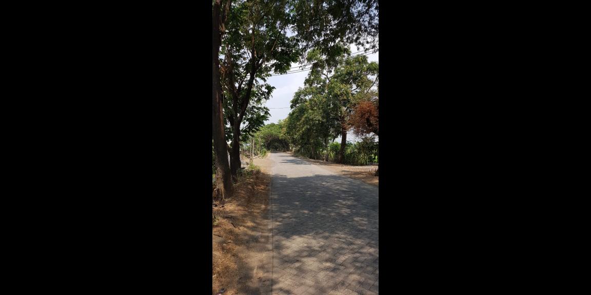 Dijual gudang industri pasuruan harga dijamin paling murah Dijual gudang industri pasuruan harga dijamin paling murah