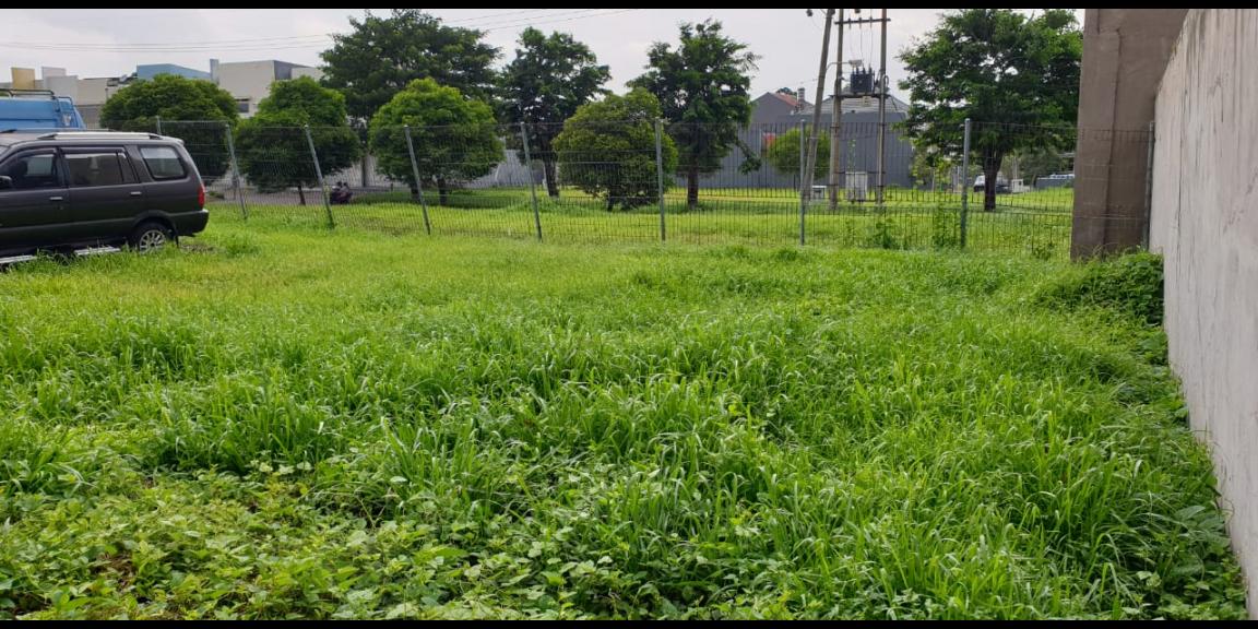 Dijual Cepat Tanah Kavling Bukit Palma Citraland Utara Dijual Cepat Tanah Kavling Bukit Palma Citraland Utara