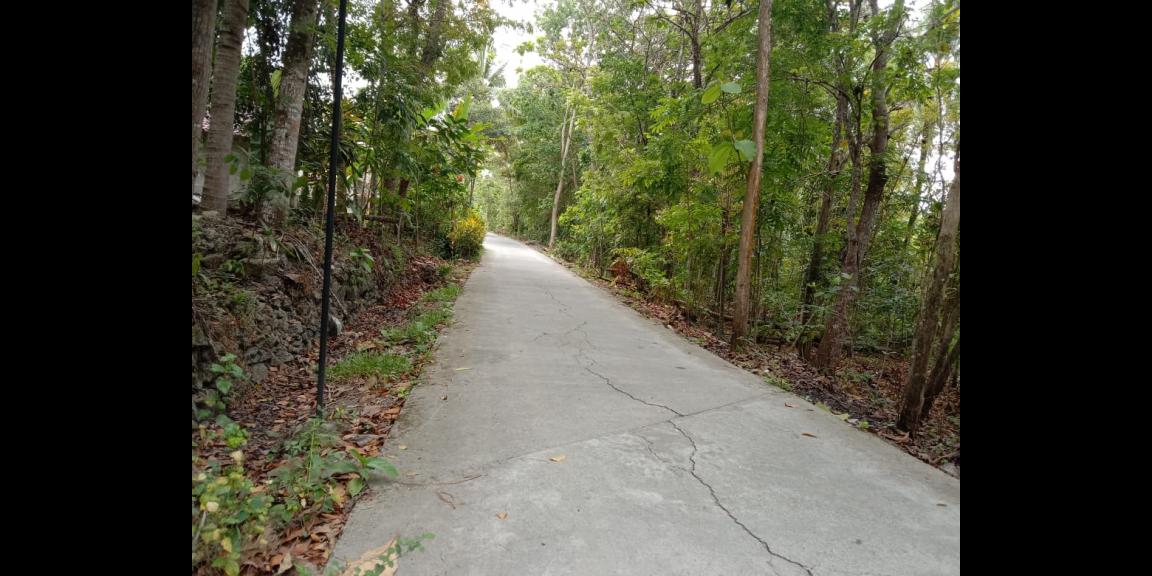 DIjual tanah harga dibawah 1jt/m lokasi sleman selatan DIjual tanah harga dibawah 1jt/m lokasi sleman selatan