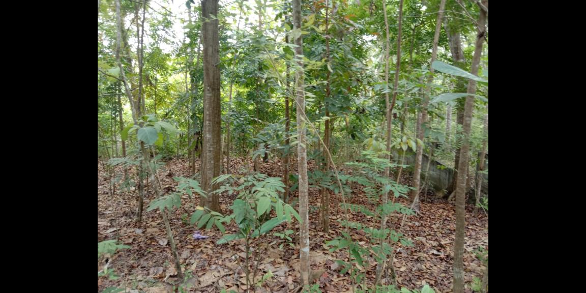 PROFIT 30% PER TAHUN TANAH DI DEKAT JALAN WATES KM 7 PROFIT 30% PER TAHUN TANAH DI DEKAT JALAN WATES KM 7