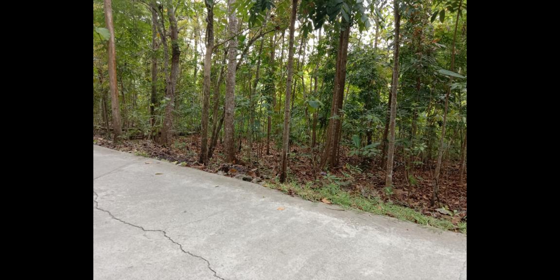 PROFIT 30% PER TAHUN TANAH DI DEKAT JALAN WATES KM 7 PROFIT 30% PER TAHUN TANAH DI DEKAT JALAN WATES KM 7