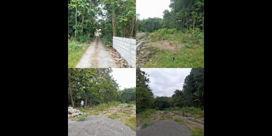 Tanah kavling bonus kolam, cocok untuk usaha Tanah kavling bonus kolam, cocok untuk usaha