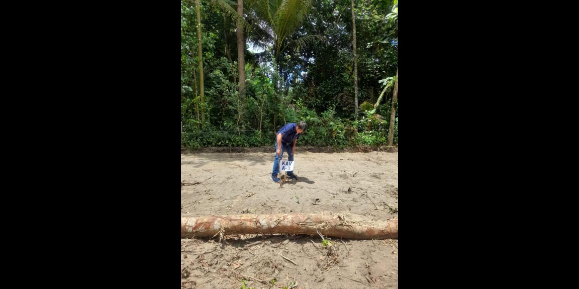 Tanah kavling bonus kolam, cocok untuk usaha Tanah kavling bonus kolam, cocok untuk usaha