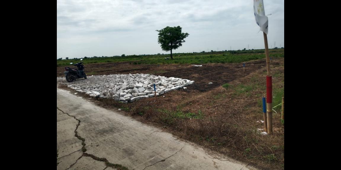 Tanah murah / kavling murah 30 menit dari harapan indah dekat tol cilincing cibitung 100 meter 35 juta Tanah murah / kavling murah 30 menit dari harapan indah dekat tol cilincing cibitung 100 meter 35 juta