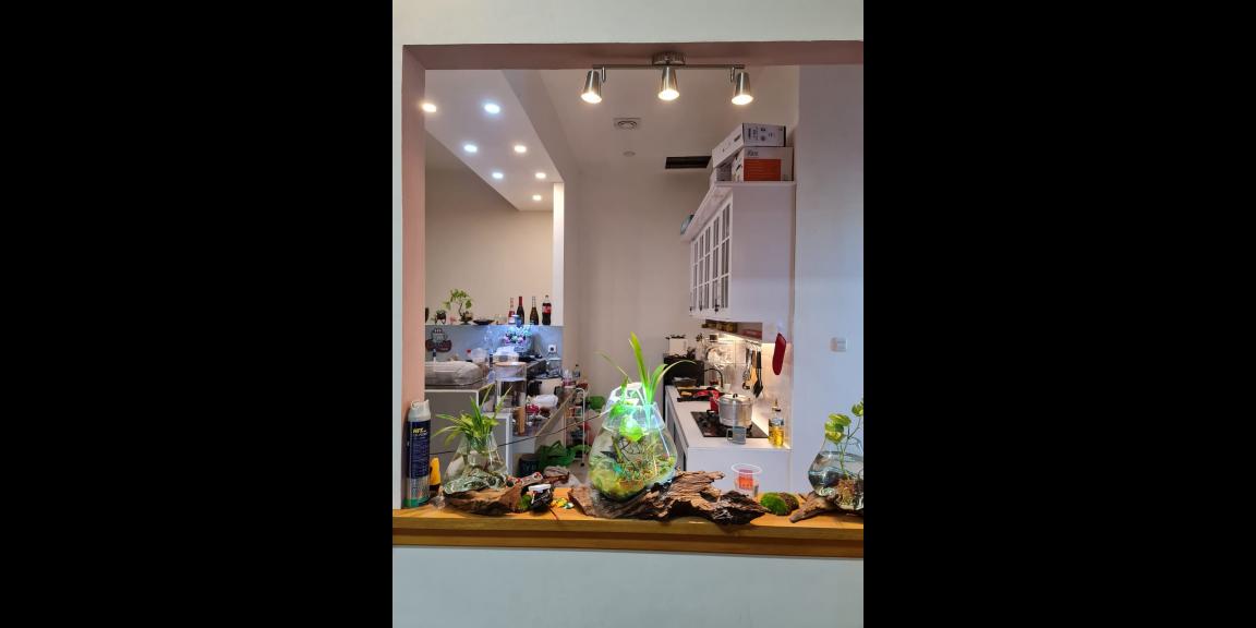 DISEWAKAN RUKO 3 LANTAI Gorontalo Kota DISEWAKAN RUKO 3 LANTAI Gorontalo Kota