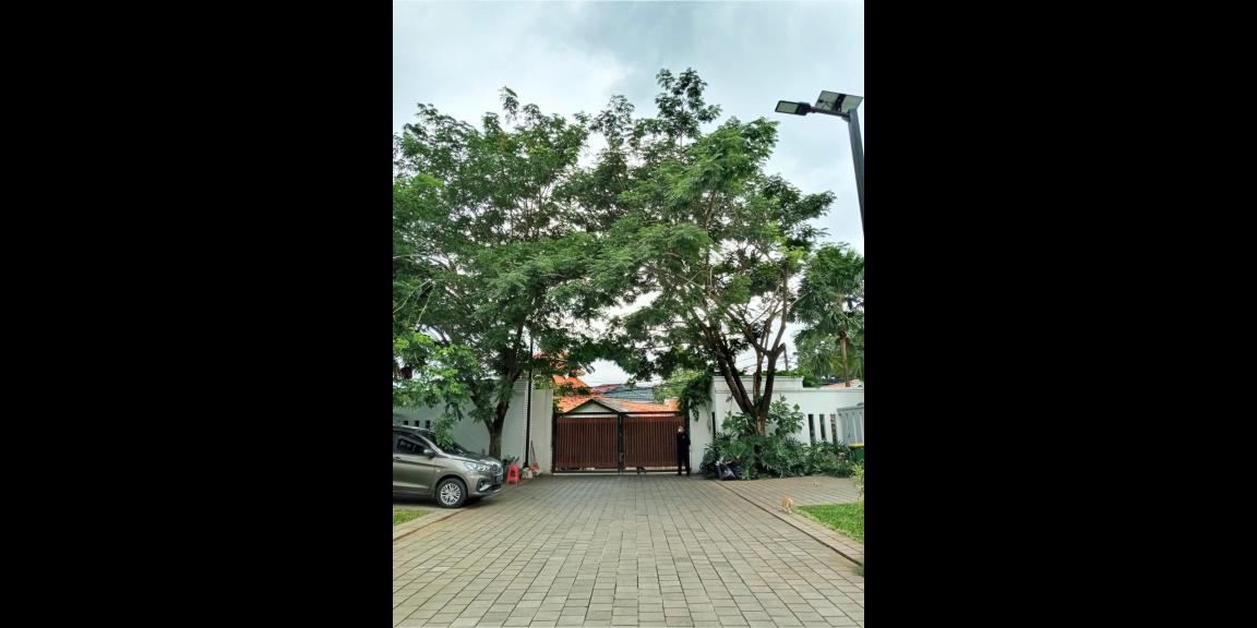 Rumah Baru Siap Huni Kawasan Elit Di Kemang Jakarta Selatan Rumah Baru Siap Huni Kawasan Elit Di Kemang Jakarta Selatan