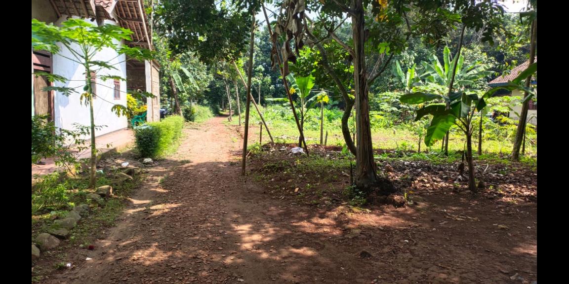 DIJUAL TANAH CIJENGKOL BEKASI DIJUAL TANAH CIJENGKOL BEKASI