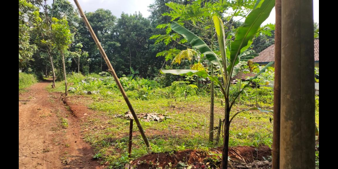 DIJUAL TANAH CIJENGKOL BEKASI DIJUAL TANAH CIJENGKOL BEKASI