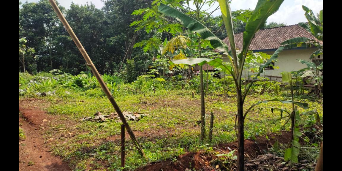 DIJUAL TANAH CIJENGKOL BEKASI DIJUAL TANAH CIJENGKOL BEKASI