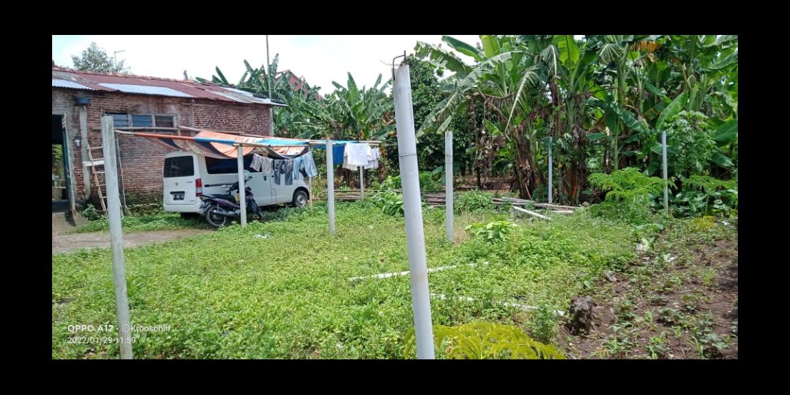 Dijual Tanah 1050 m2 SHM di Jl Lesanpura 62 Purwokerto Selatan Jawa Tengah harga 2,25 M (Nego) Dijual Tanah 1050 m2 SHM di Jl Lesanpura 62 Purwokerto Selatan Jawa Tengah harga 2,25 M (Nego)