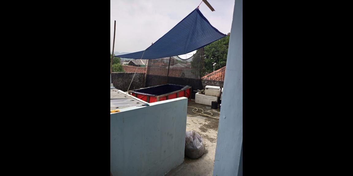 Jual Rumah Kosan Bogor Jual Rumah Kosan Bogor