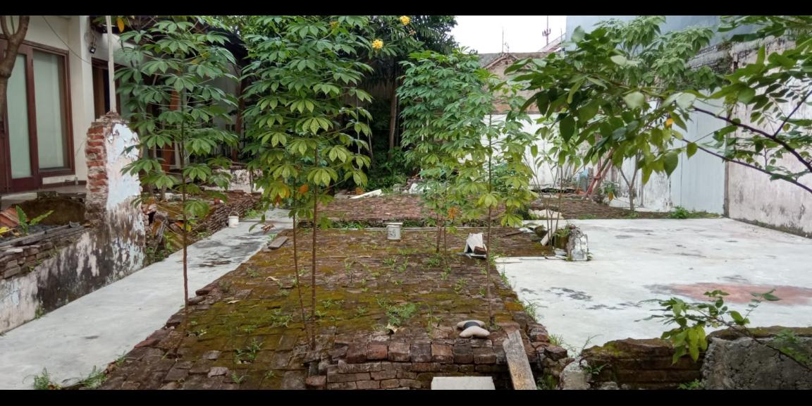 Tanah Kavling SHM Jalan Manyar Kartika, Sukolilo, Surabaya Tanah Kavling SHM Jalan Manyar Kartika, Sukolilo, Surabaya