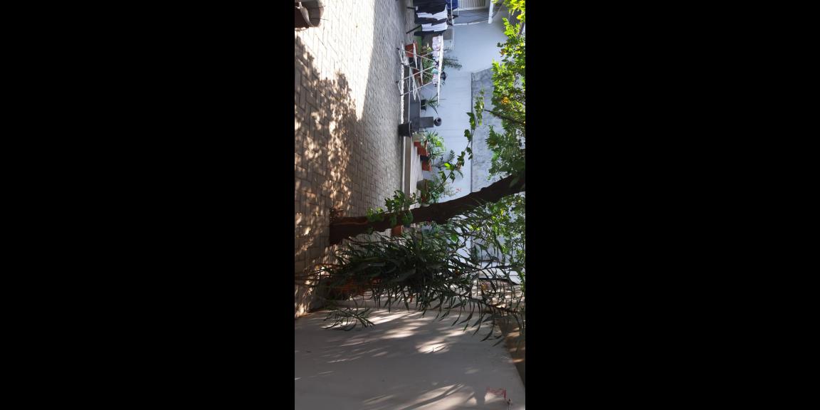 Dijual Rumah Mewah di Tanjung Duren Jakarta Barat Dijual Rumah Mewah di Tanjung Duren Jakarta Barat