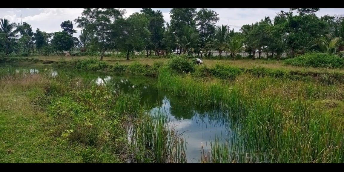 Dijual kavling hotel murah di kawasan ekonomi khusus Tanjung Lesung Dijual kavling hotel murah di kawasan ekonomi khusus Tanjung Lesung