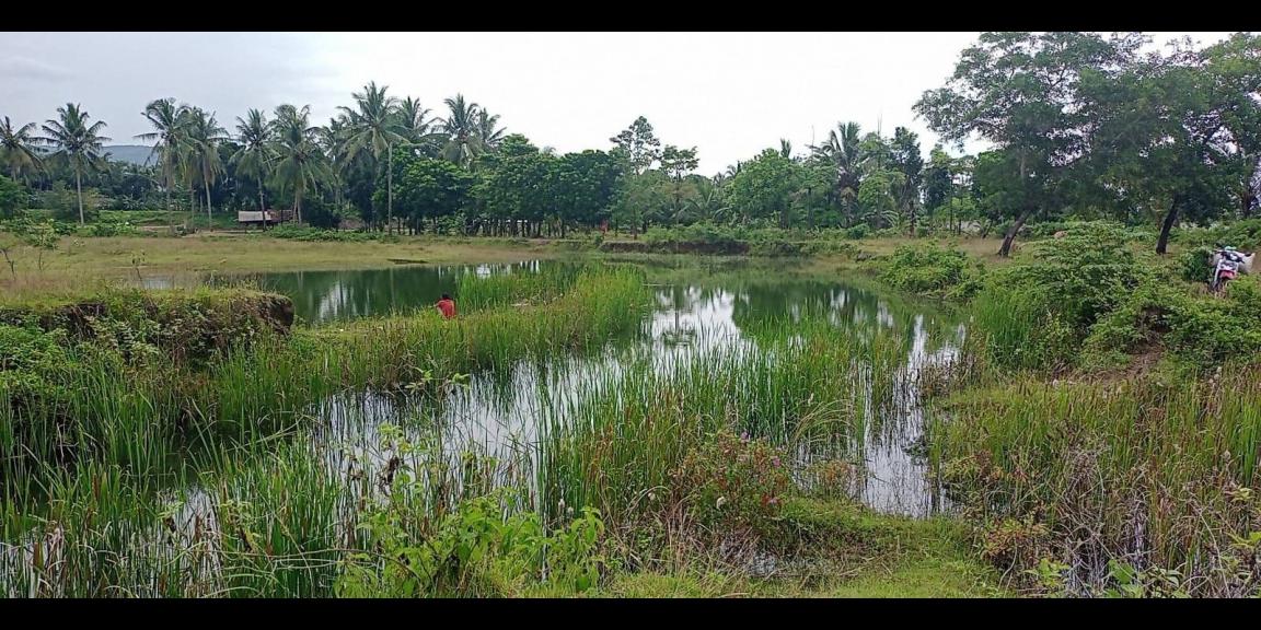 Dijual kavling hotel murah di kawasan ekonomi khusus Tanjung Lesung Dijual kavling hotel murah di kawasan ekonomi khusus Tanjung Lesung