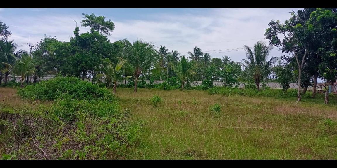 Dijual kavling hotel murah di kawasan ekonomi khusus Tanjung Lesung Dijual kavling hotel murah di kawasan ekonomi khusus Tanjung Lesung