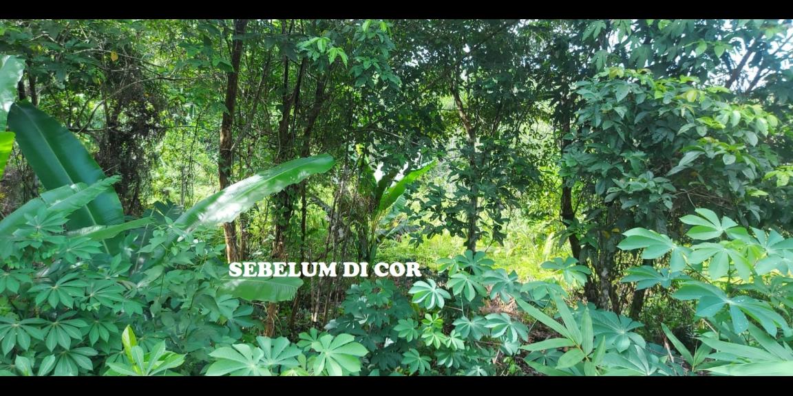 TANAH MURAH STRATEGIS DI SEPINGGAN PT HER BALIKPAPAN TANAH MURAH STRATEGIS DI SEPINGGAN PT HER BALIKPAPAN