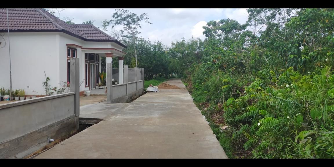 Tanah Dijual Gg. Ringin Sari Kota Pontianak Tanah Dijual Gg. Ringin Sari Kota Pontianak