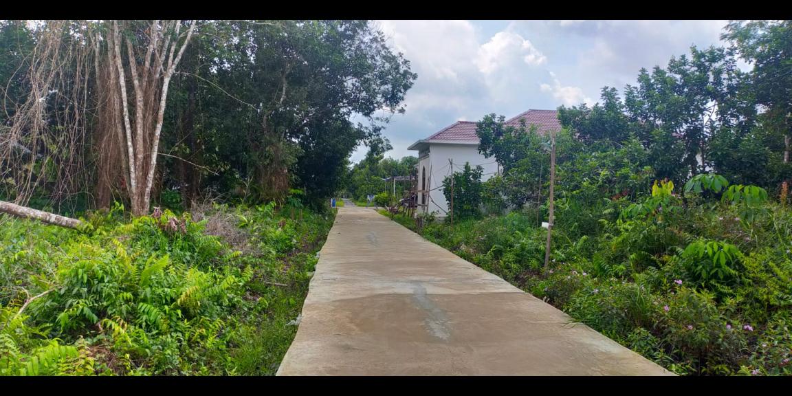 Tanah Dijual Gg. Ringin Sari Kota Pontianak Tanah Dijual Gg. Ringin Sari Kota Pontianak