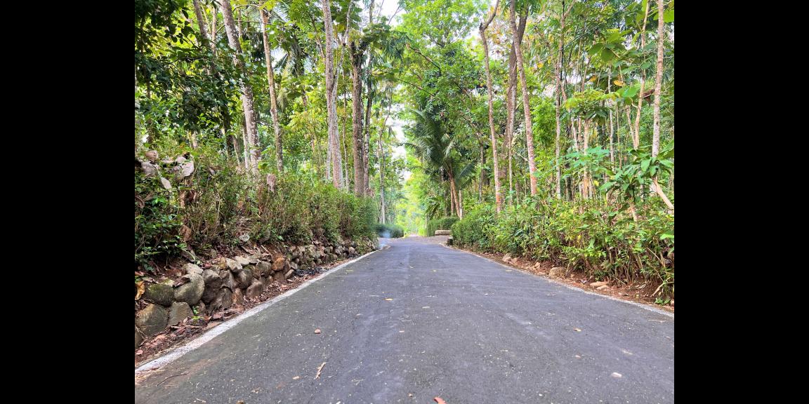 Tanah Super Datar 1028m2 hanya 250 Juta Karanganyar Tanah Super Datar 1028m2 hanya 250 Juta Karanganyar