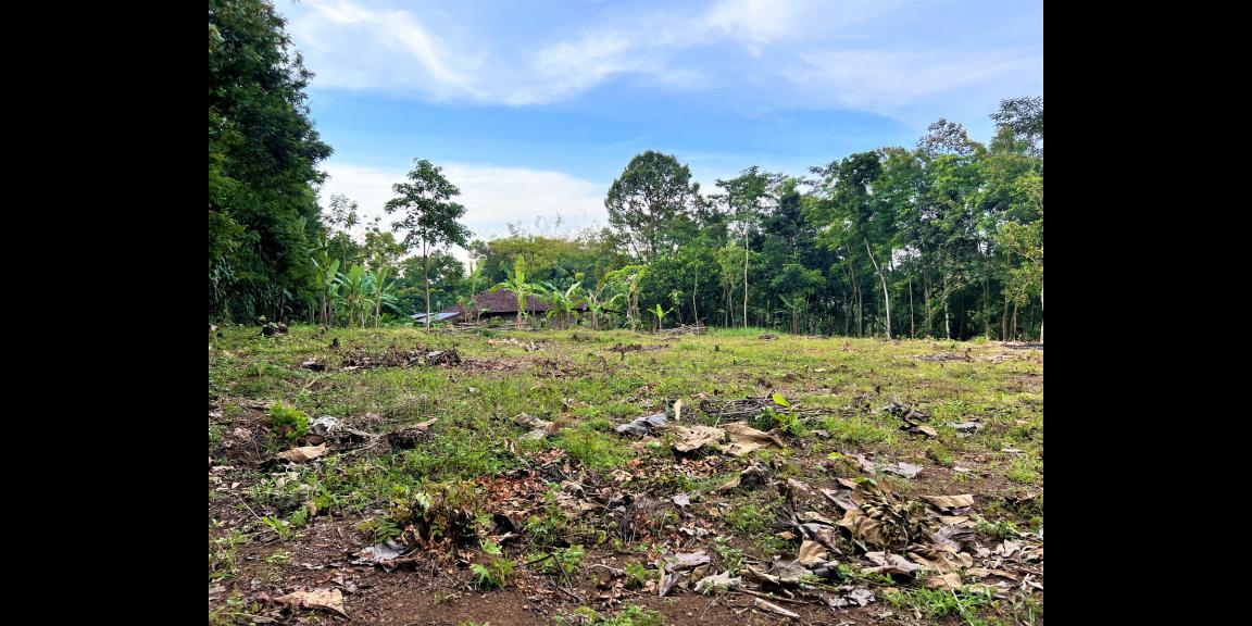 Tanah Super Datar 1028m2 hanya 250 Juta Karanganyar Tanah Super Datar 1028m2 hanya 250 Juta Karanganyar