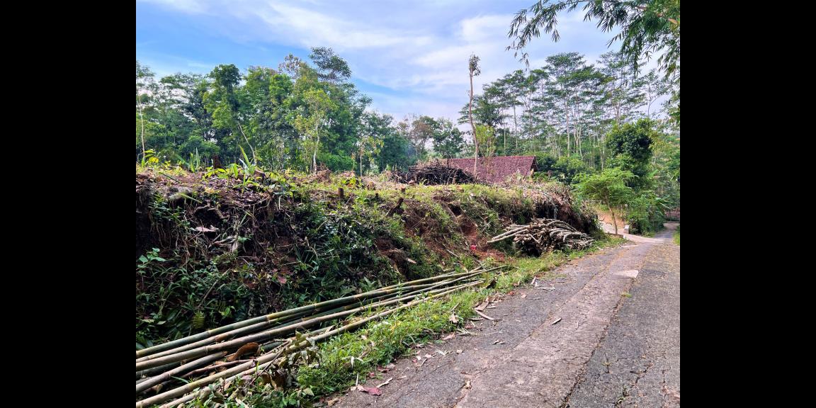 Tanah Super Datar 1028m2 hanya 250 Juta Karanganyar Tanah Super Datar 1028m2 hanya 250 Juta Karanganyar