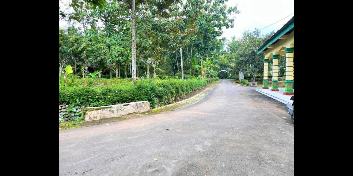 Kebun Durian Bonus Joglo Sederhana Karanganyar Kebun Durian Bonus Joglo Sederhana Karanganyar