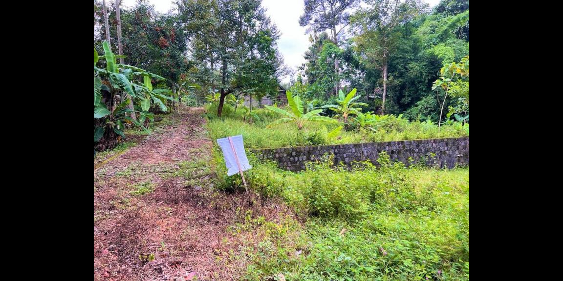 Kebun Durian Bonus Joglo Sederhana Karanganyar Kebun Durian Bonus Joglo Sederhana Karanganyar