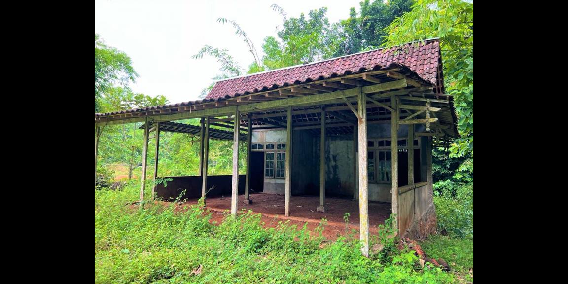 Kebun Durian Bonus Joglo Sederhana Karanganyar Kebun Durian Bonus Joglo Sederhana Karanganyar