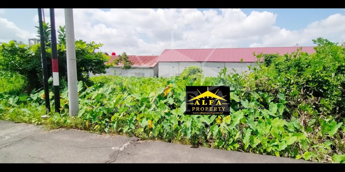 Dijual Tanah Gg. Sejahtera Kota Pontianak Dijual Tanah Gg. Sejahtera Kota Pontianak