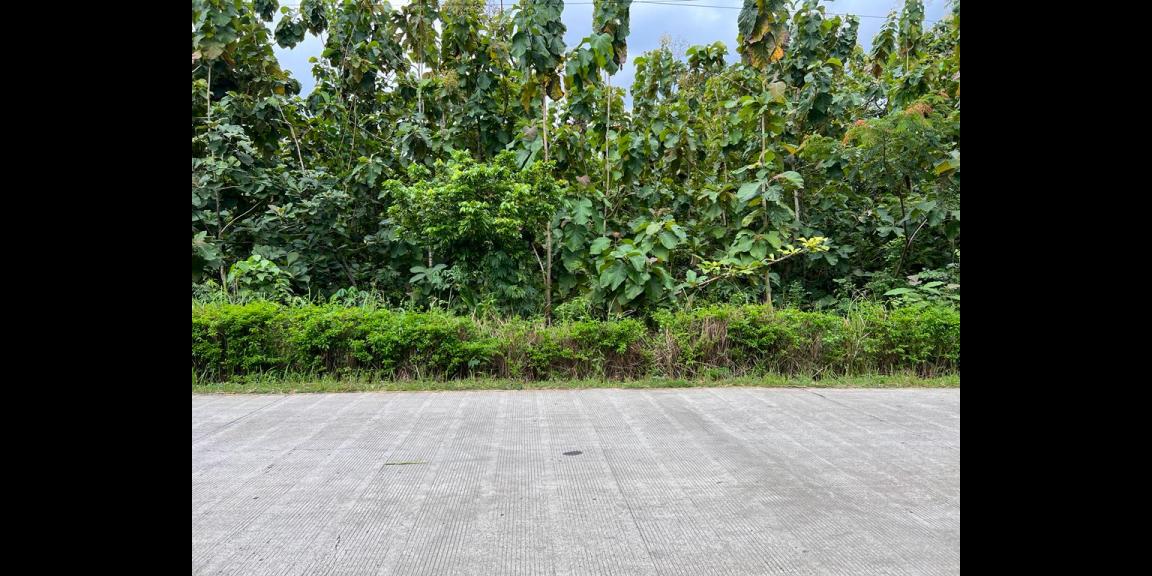 Tanah 1040m² Cocok untuk Usaha, Gudang Sragen Karanganyar Tanah 1040m² Cocok untuk Usaha, Gudang Sragen Karanganyar