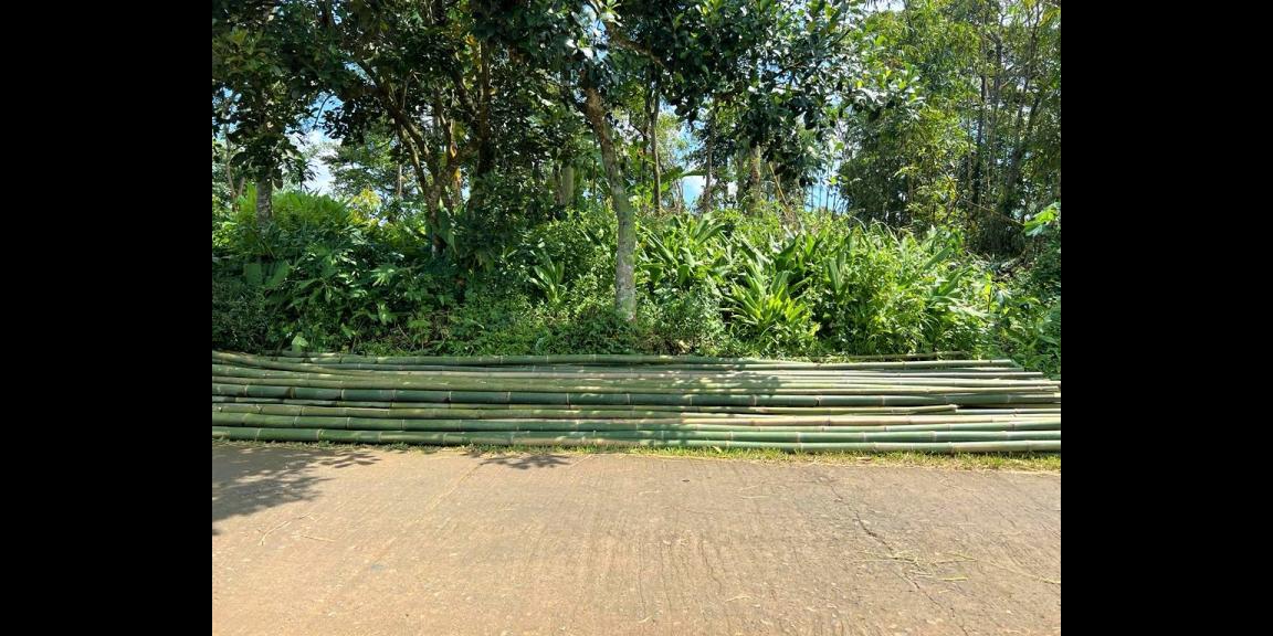 Tanah Kebun Durian Dekat Wisata Kemuning Karanganyar Tanah Kebun Durian Dekat Wisata Kemuning Karanganyar